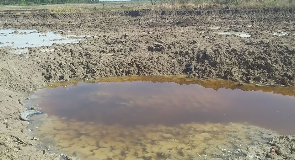 Carta anónima denúncia exploração clandestina de argila compacta em Nsalma e construção de casas nas zonas húmidas