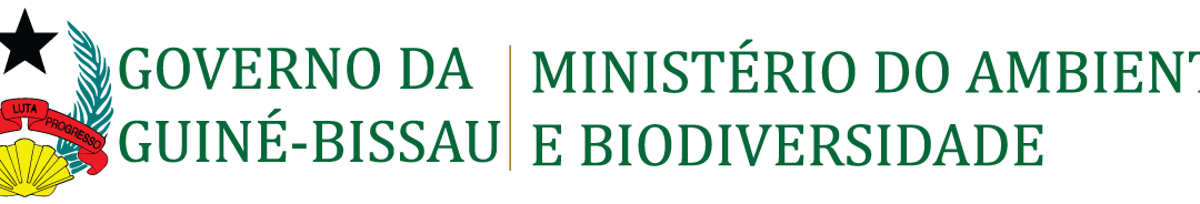 MAB, LANÇA  CONCURSO PÚBLICO PARA RECRUTAMENTO  DO DIRECTOR GERAL E ENCARREGADO DE PROGRAMA PARA  IBAP