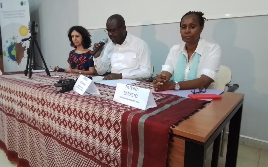 MINISTRO DO AMBIENTE, BIODIVERSIDADE E ACÃO CLIMÁTICA PRESIDE A ABERTURA DA PRIMEIRA REUNIÃO DO CONSELHO DE ADMINISTRAÇÃO DO PROJETO NAP